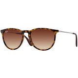 Ray-ban Erika Classic Havana Collection RB4171 865/13 ONE SIZE (54) Havana/Rjava Cene