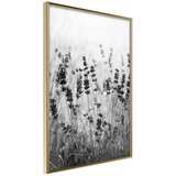  Poster - Shadow of Meadow 40x60 Cijene