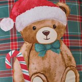 Catherine Lansfield Ukrasni jastuk s božićnim motivom 45x45 cm Christmas Tartan Teddy Bear – | shoptok.hr