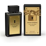 Antonio Banderas The Golden Secret toaletna voda 100 ml za moške | Shoptok.si