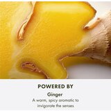 Origins Ginger Essence Sensuous Skin Scent Mirisna magla za tijelo i kosu za žene 100 ml | shoptok.hr