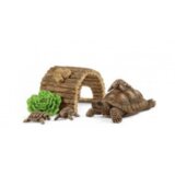  Porodica kornjaÄe | ePonuda.com