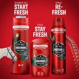 Old Spice Wolfthorn XXL Deodorant Stick trdi deodorant za moške 65 ml | Shoptok.si