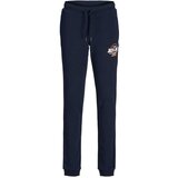 Jack & Jones Trenerka donji deo za decake jpstelogo Cene