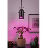 PAULMANN 79766 - LED RGBW 1xE27/15W viseća lampa na sajli LAVEA 230V crna | Eponuda.com