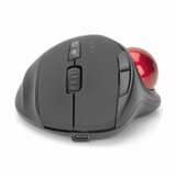 Digitus miška trackball brezžična USB črna DA-20156 | Shoptok.si