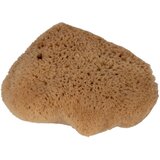  Prirodna dječja Spongia S Cotton&Sweets Cijene