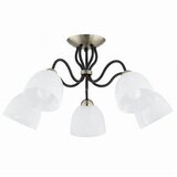  plafonski luster ariel 5xE27/15W/230V mesing/crna | Eponuda.com