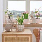 Modern Living Umetna Rastlina Kirschblütenbonsai I | Shoptok.si