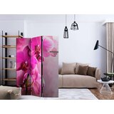 Paravan u 3 dijela - Pink Orchid [Room Dividers] 135x172 | shoptok.hr