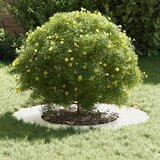  Pogodno za ravne drvene prstenove 5 pcs Srebrno Ø40 / 70 cm | shoptok.hr