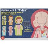 Mađarski proizvođač Spoznaj svoje telo izobraževalna igra - D-Toys Cene