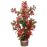 Hobby umetna rastlina Flora Stone 7, 13 cm