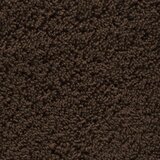 vidaXL Ručnici za kupanje SOLUND 10 kom smeđi 100 x 150 cm 600 gsm | shoptok.hr