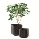 Keter Cube plastična kutija za cvijeće/teglica za cvijeće L, Whisky smeđa | shoptok.hr