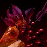 Hugo Boss BOSS The Scent Elixir parfemska voda za žene 50 ml | shoptok.hr