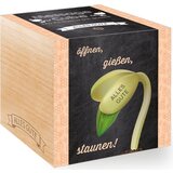 Feel Green Message Cube &quot;Alles Gute&quot; cene