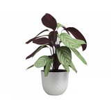 Artevasi Tegla za cvijeće od reciklirane plastike ø 30 cm Havana – | shoptok.hr