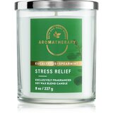 Bath & Body Works Stress Relief Eukalyptus Spearmint mirisna svijeća 227 g | shoptok.hr