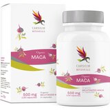BIO Maca - 120 kaps. Cene