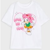 Sinsay Pamučna majica s printom Sonic the Hedgehog | shoptok.hr