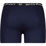 Licensed Men's boxer Harry Potter - Frogies | Eponuda.ba