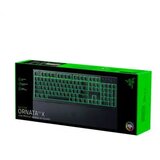 Razer tastatura ornata V3 x - low profile RZ03-04470300-R3W1 | ePonuda.com
