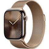 Apple Watch 10 42mm GPS+4G Titan Milanese Armband Gold/Gold | shoptok.hr