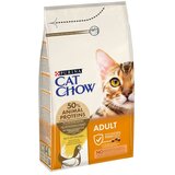Cat Chow Adult piščanec 1,5 kg | Shoptok.si