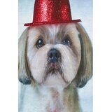 Conceptum Hypnose tepih (180x280) KHMFESTO008KECE | ePonuda.com