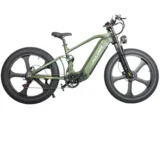 Električno kolo PE900, dvojni motor, baterija 52 V 20 Ah, 26-palčno debelo kolo, zeleno, (5000249682)