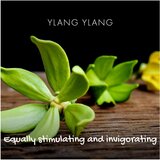 Friendly Soap Natural Soap Ylang Ylang prirodni sapun 95 g | shoptok.hr