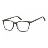 Berkeley Naočare CP133A | ePonuda.com