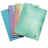 Z ZAPIRALOM S GUMICO PP A4 CANDY TIDY EXACOMPTA 55130E HOLOGRAFSKA Cene