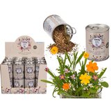  Gojite travniške rože | Shoptok.si