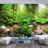  Samoljepljiva foto tapeta - Humid Forest 392x280 Cijene