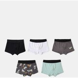 Sinsay Komplet od 5 pari bokserica | shoptok.hr
