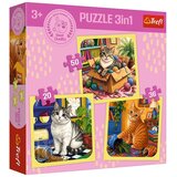 Trefl Mačje veselje 3 v 1 50, 36 in 20 kosov puzzle - | Shoptok.si
