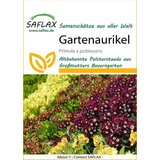  Lepi jeglič | Shoptok.si