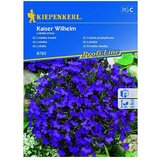 KIEPENKERL Profi-Line Sjeme cvijeća Lobelija Kaiser Wilhelm (Lobelia erinus, Ljubičasta) | shoptok.hr
