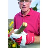 Bosch Brza seckalica-drobilica Bosch AXT Rapid 2200 (0600853600) | ePonuda.com