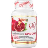  Lipid Care - 60 tabl. Cene
