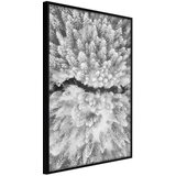  Poster - Frost Land 40x60 | shoptok.hr
