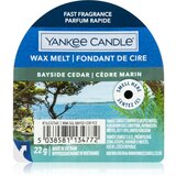 Yankee Candle Bayside Cedar vosek za aroma lučko 22 g | Shoptok.si