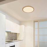 Globo 41562-24WW - LED prigušiva kupatilska lampa SAPANA LED/24W/230V IP44 | Eponuda.com