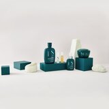 ALFAPARF MILANO Semi di Lino Reconstruction Reparative obnavljajući šampon za oštećenu kosu 250 ml | shoptok.hr