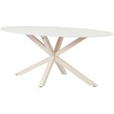 P & B Jedilna Miza Vanda, Kašmir, 180x100 | Shoptok.si
