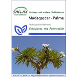 Saflax Palma - Madagaskar | Shoptok.si