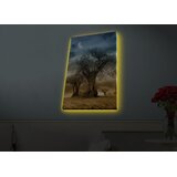 Wallity Zidna slika sa LED osvetljenjem 4570HDACT-076, 45x70 cm | Eponuda.ba