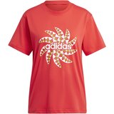 Adidas Majice s kratkimi rokavi Farm Gfx Rdeča | Shoptok.si